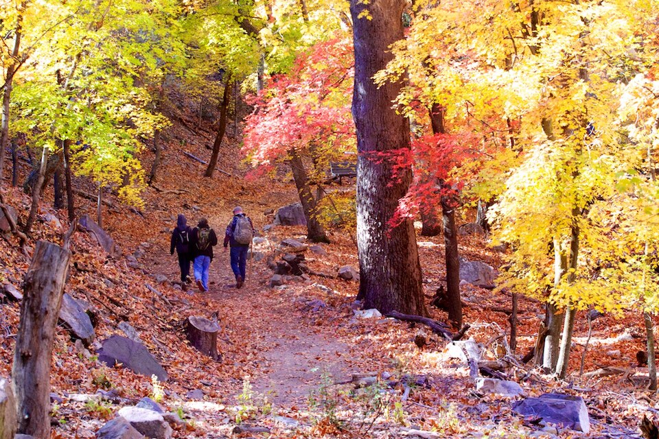 램지 캐니언 보호구역 (Ramsey Canyon Preserve) 여행 추천 - 로드트립