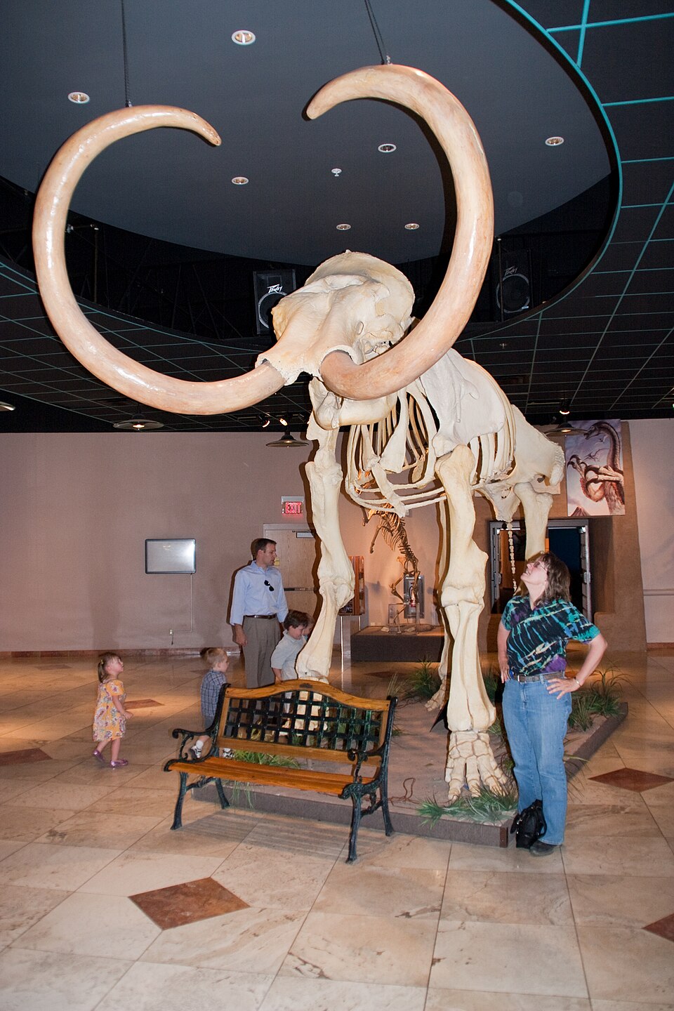 애리조나 자연사박물관 (Arizona Museum of Natural History) 여행 추천 - 로드트립
