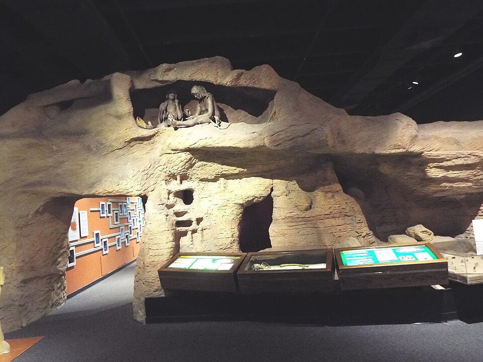 애리조나 자연사박물관 (Arizona Museum of Natural History) 여행 추천 - 로드트립