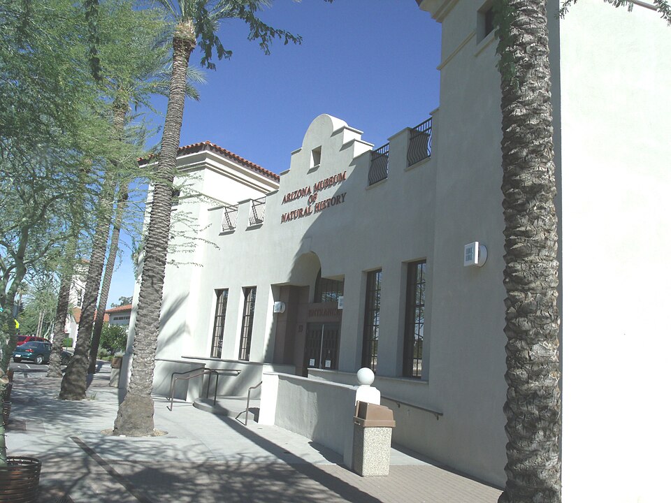 애리조나 자연사박물관 (Arizona Museum of Natural History) 여행 추천 - 로드트립