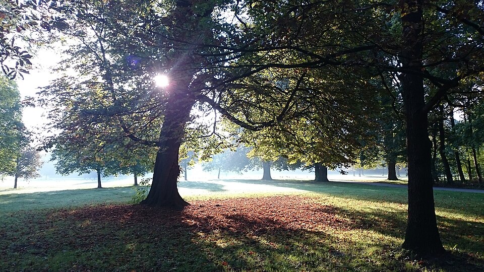 뮌헨 영국정원 (Englischer Garten) 여행 추천 - 로드트립