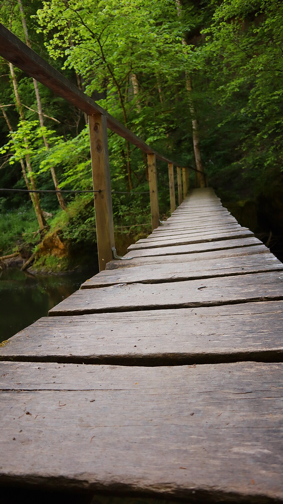부타흐 협곡 자연보호구역 (Wutachschlucht) 여행 추천 - 로드트립