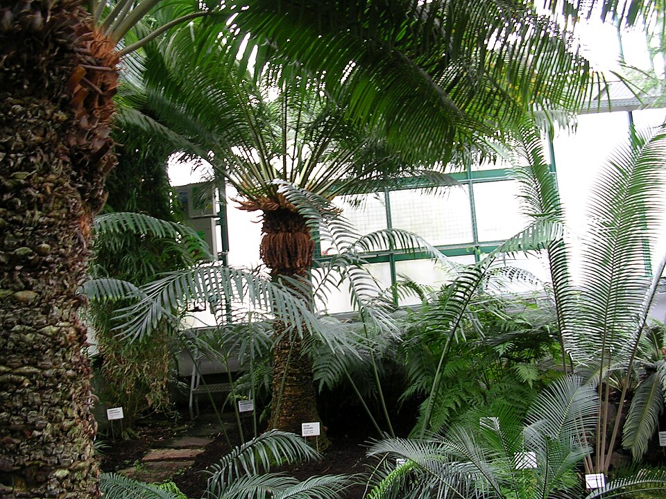 리베레츠 식물원 (Liberec Botanical Garden) 여행 추천 - 로드트립