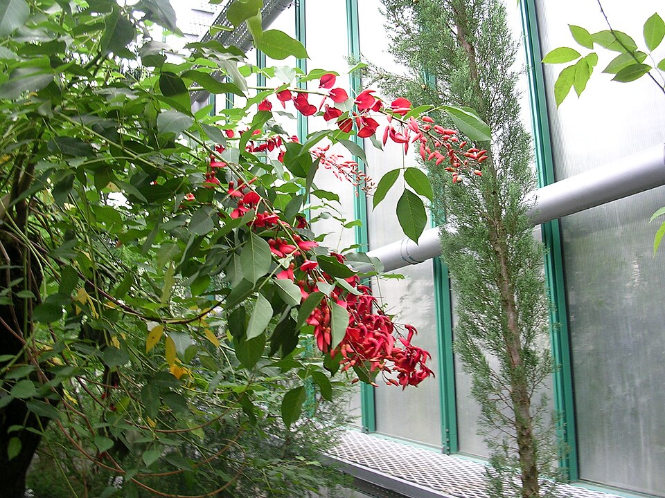 리베레츠 식물원 (Liberec Botanical Garden) 여행 추천 - 로드트립