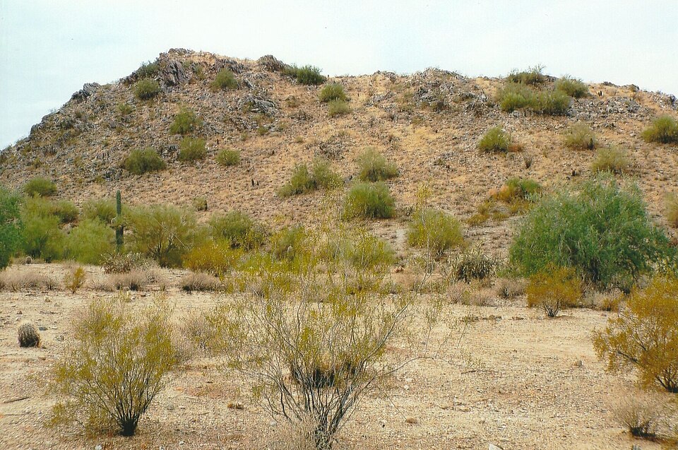샌탠 마운틴 지역공원 (San Tan Mountain Regional Park) 여행 추천 - 로드트립