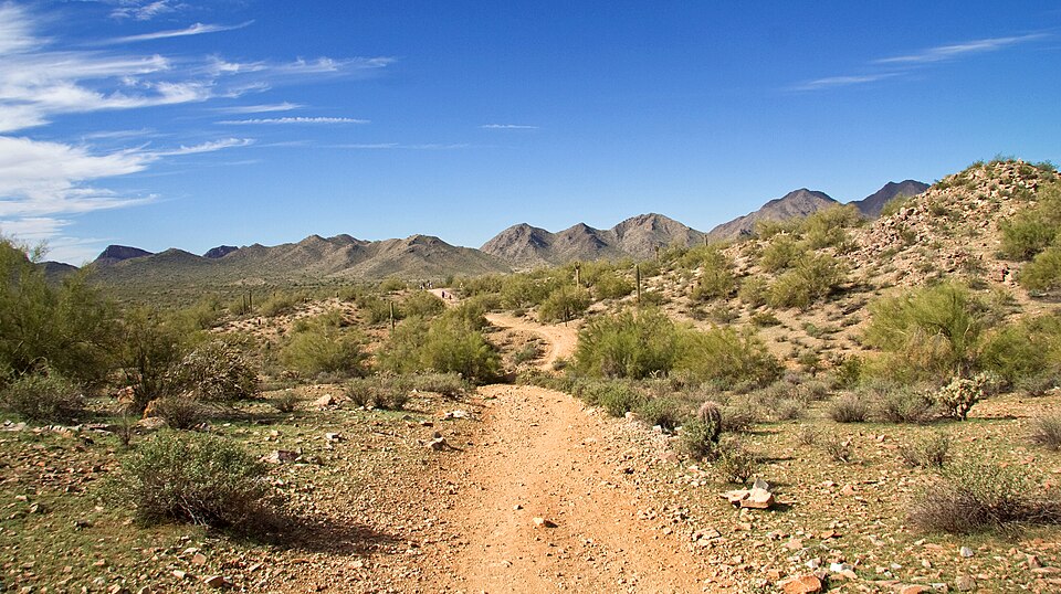 샌탠 마운틴 지역공원 (San Tan Mountain Regional Park) 여행 추천 - 로드트립