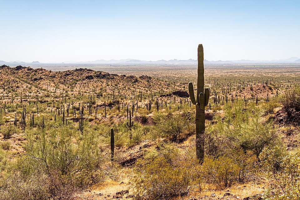피카초 피크 헌터 트레일 (Hunter Trail, Picacho Peak State Park) 여행 추천 - 로드트립