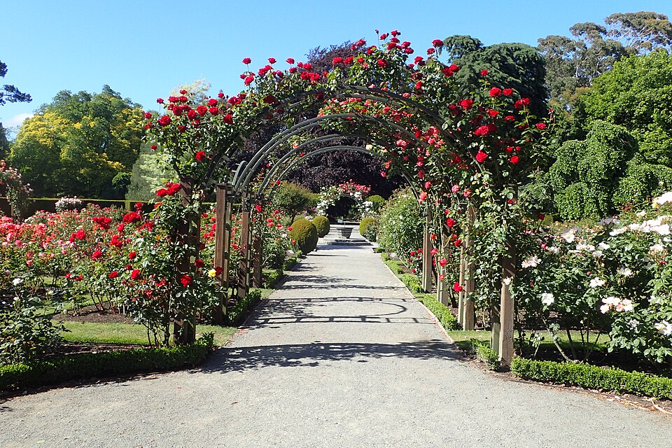 크라이스트처치 보태닉 가든 (Christchurch Botanic Gardens) 여행 추천 - 로드트립