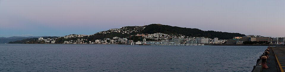 마타이랑이·마운트 빅토리아 전망대 (Matairangi / Mount Victoria Lookout) 여행 추천 - 로드트립