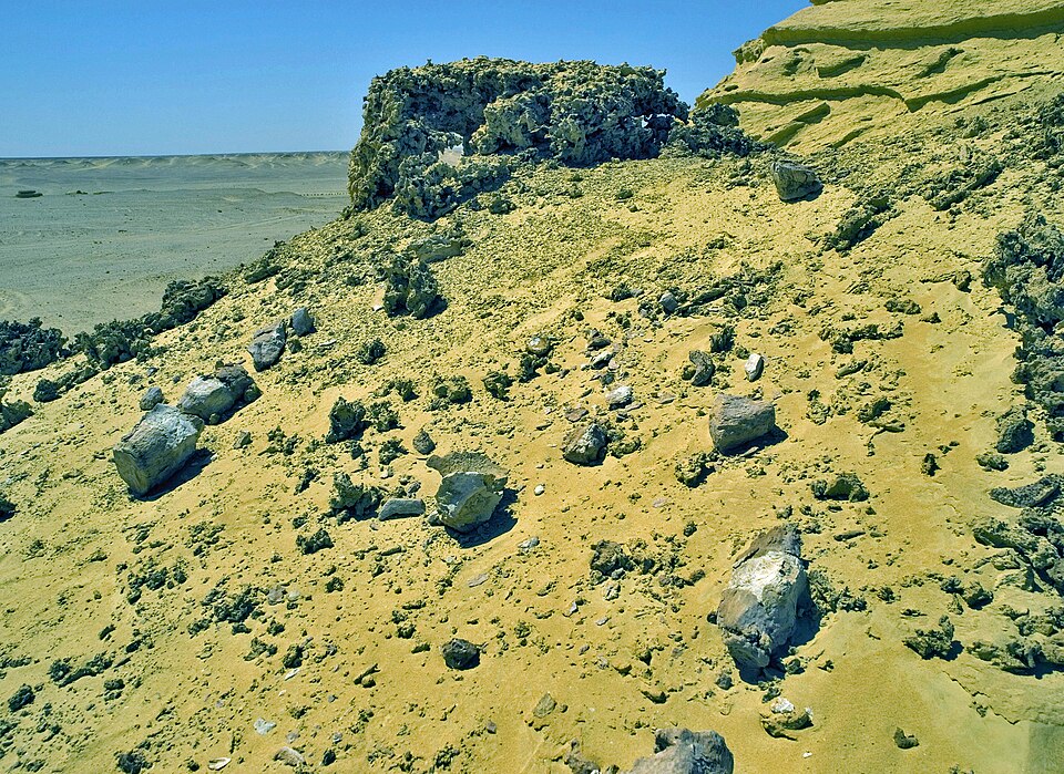 와디알히탄 고래 계곡 (Wadi Al-Hitan) 여행 추천 - 로드트립