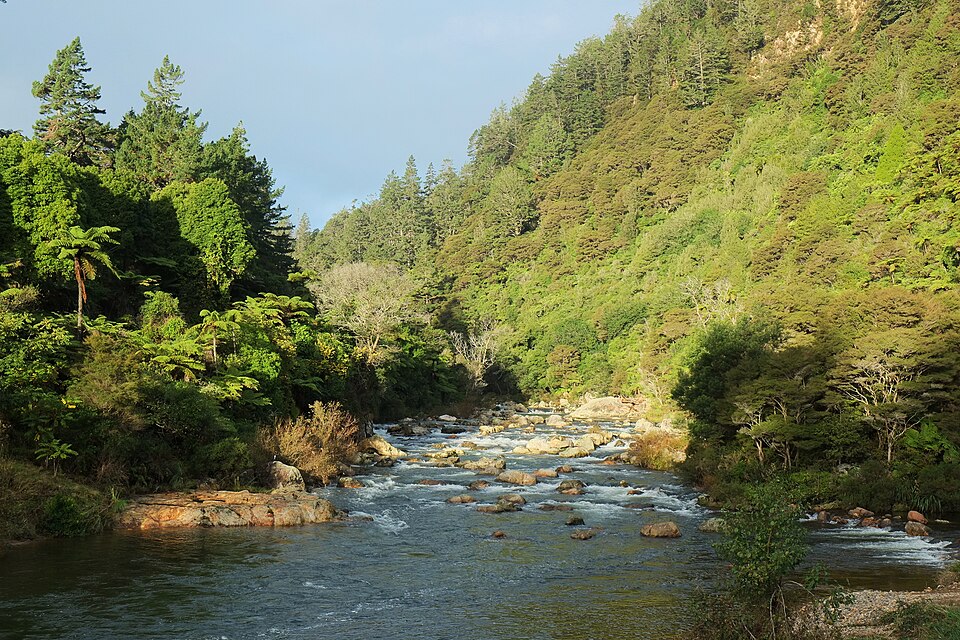 카랑가하케 협곡 역사 산책로 (Karangahake Gorge Historic Walkway) 여행 추천 - 로드트립