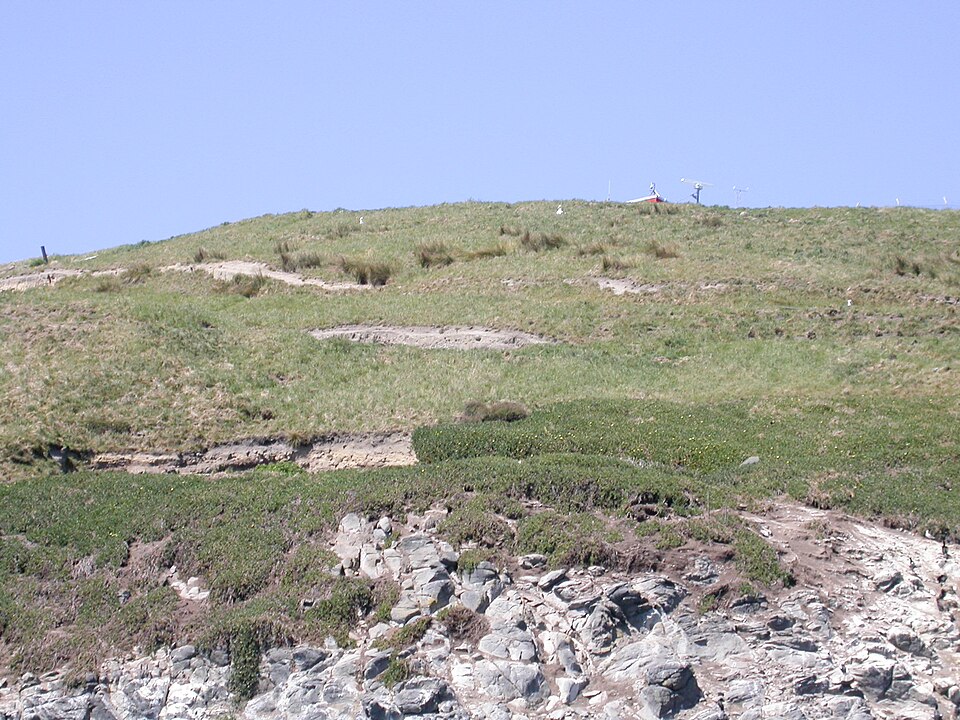 로열 앨버트로스 센터·푸케쿠라 (Royal Albatross Centre / Pukekura) 여행 추천 - 로드트립