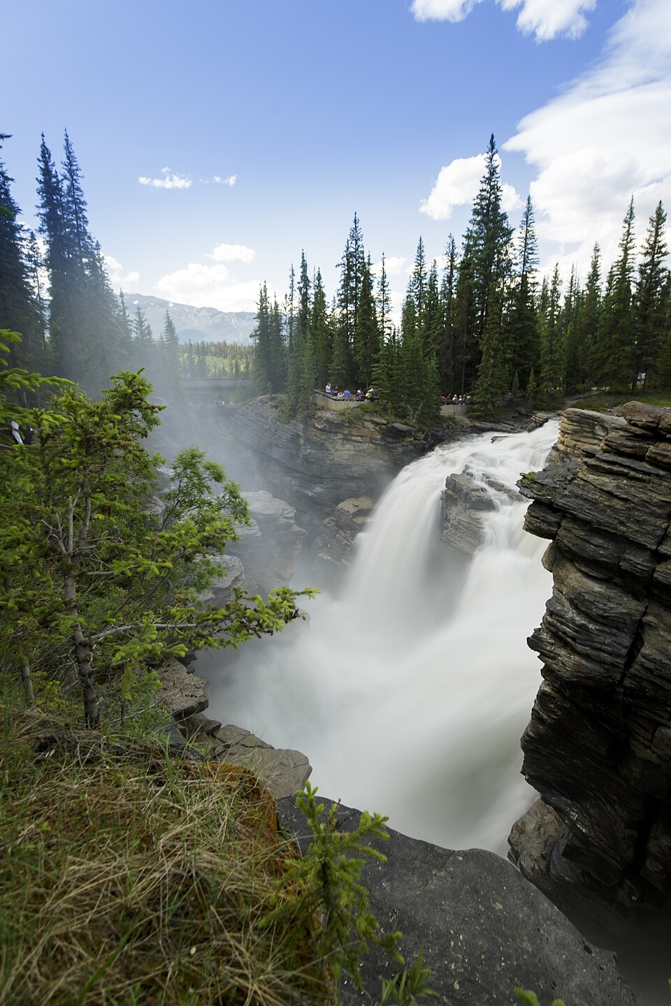 애서배스카 폭포 (Athabasca Falls) 여행 추천 - 로드트립