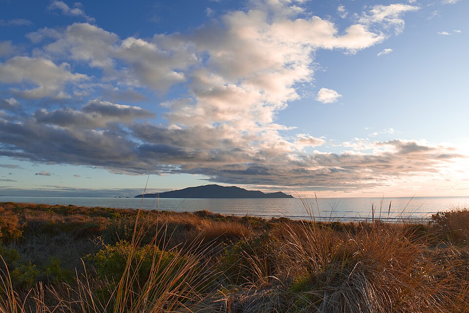 카피티섬 자연보호구역 (Kāpiti Island Nature Reserve) 여행 추천 - 로드트립