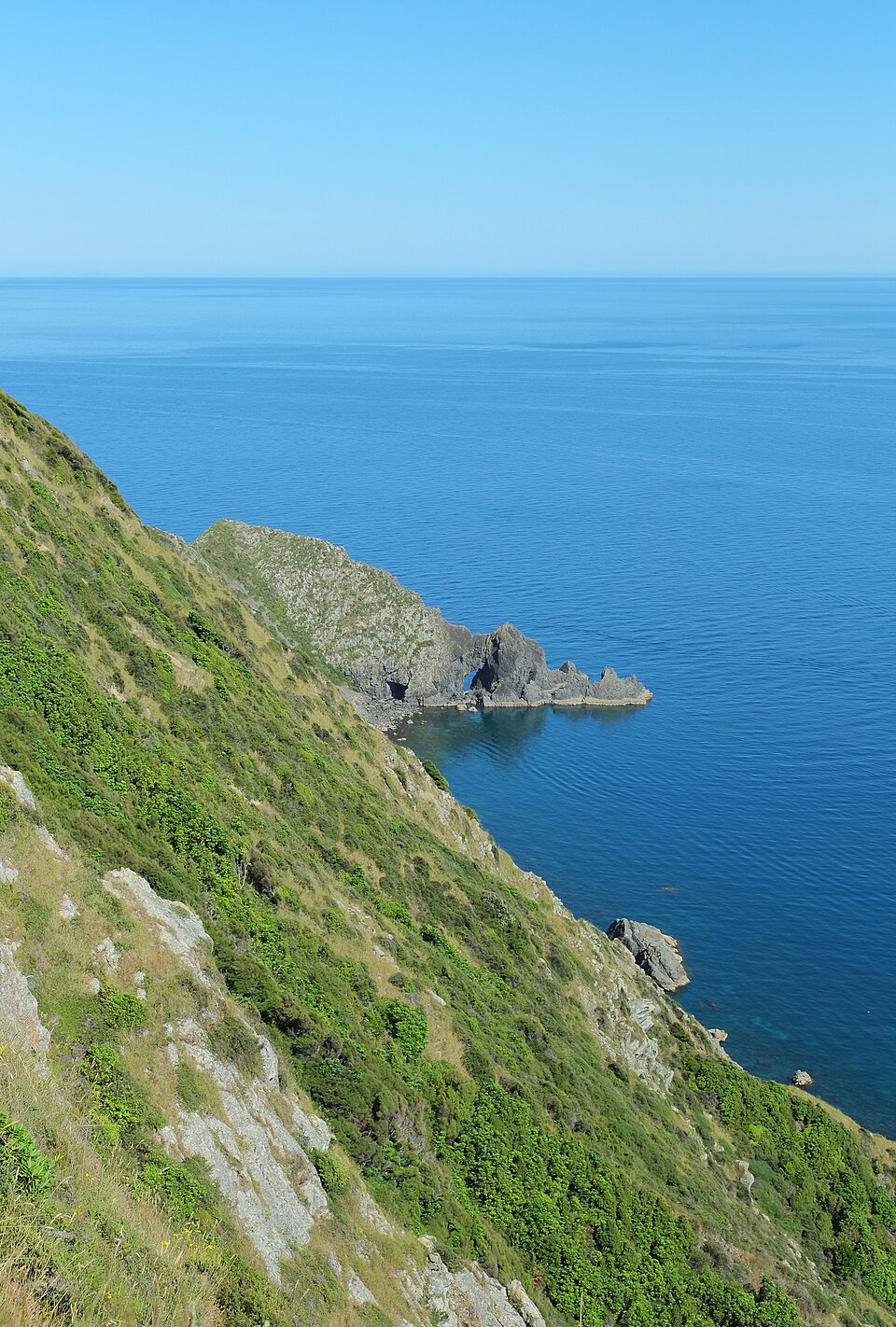 카피티섬 자연보호구역 (Kāpiti Island Nature Reserve) 여행 추천 - 로드트립