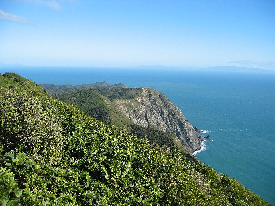 카피티섬 자연보호구역 (Kāpiti Island Nature Reserve) 여행 추천 - 로드트립