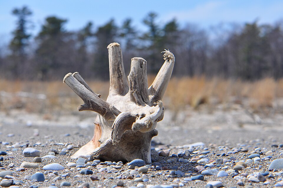 론도 주립공원 (Rondeau Provincial Park) 여행 추천 - 로드트립