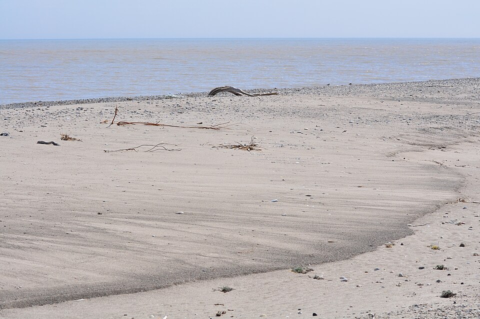 론도 주립공원 (Rondeau Provincial Park) 여행 추천 - 로드트립