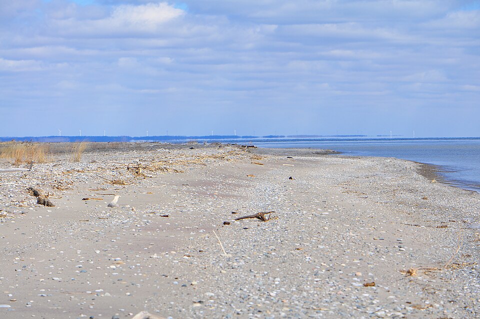 론도 주립공원 (Rondeau Provincial Park) 여행 추천 - 로드트립