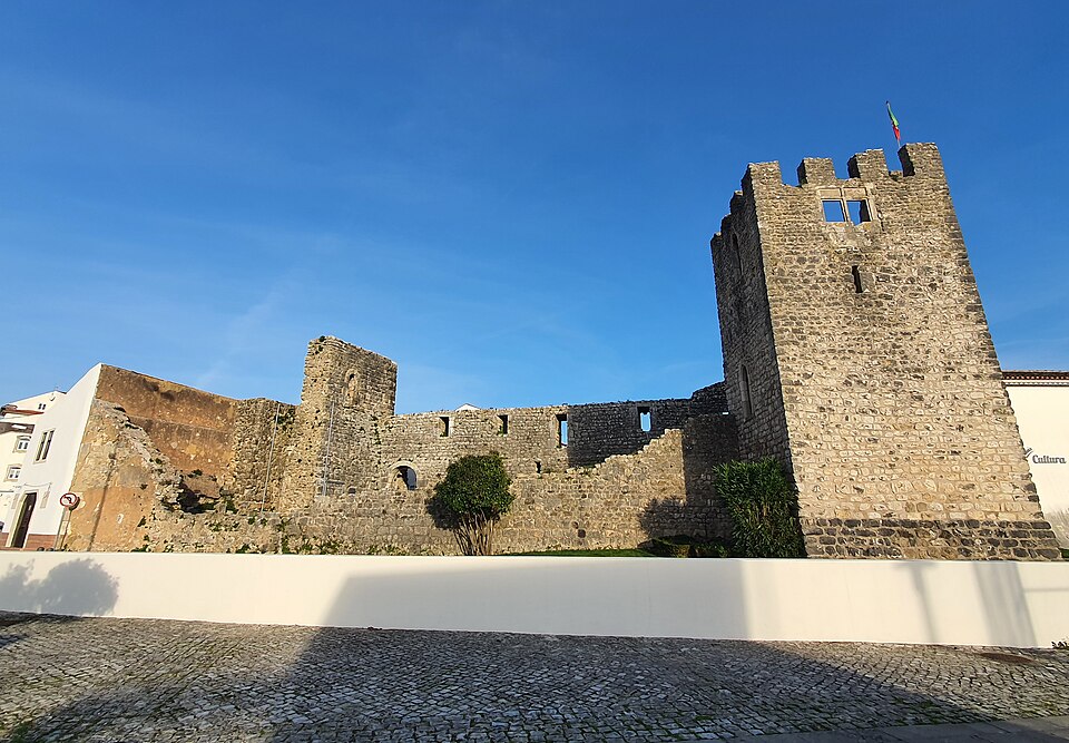 소우르 성 (Castelo de Soure)