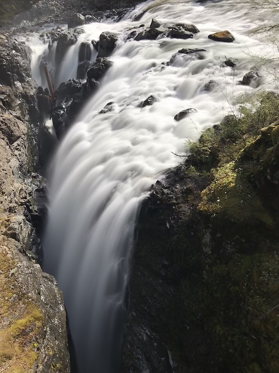 잉글리시먼 리버 폭포 주립공원 (Englishman River Falls Park) 여행 추천 - 로드트립