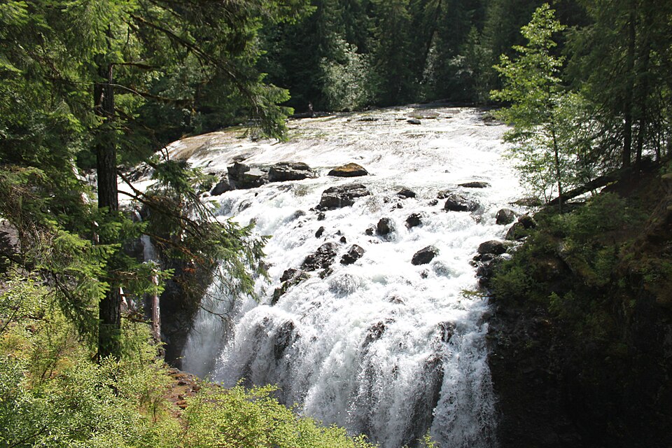 잉글리시먼 리버 폭포 주립공원 (Englishman River Falls Park) 여행 추천 - 로드트립