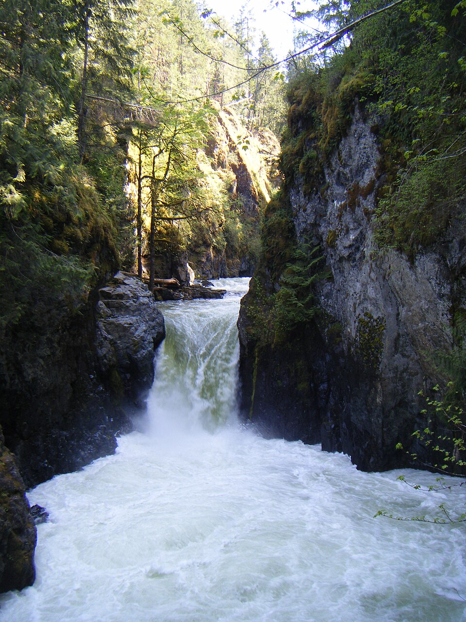 잉글리시먼 리버 폭포 주립공원 (Englishman River Falls Park) 여행 추천 - 로드트립