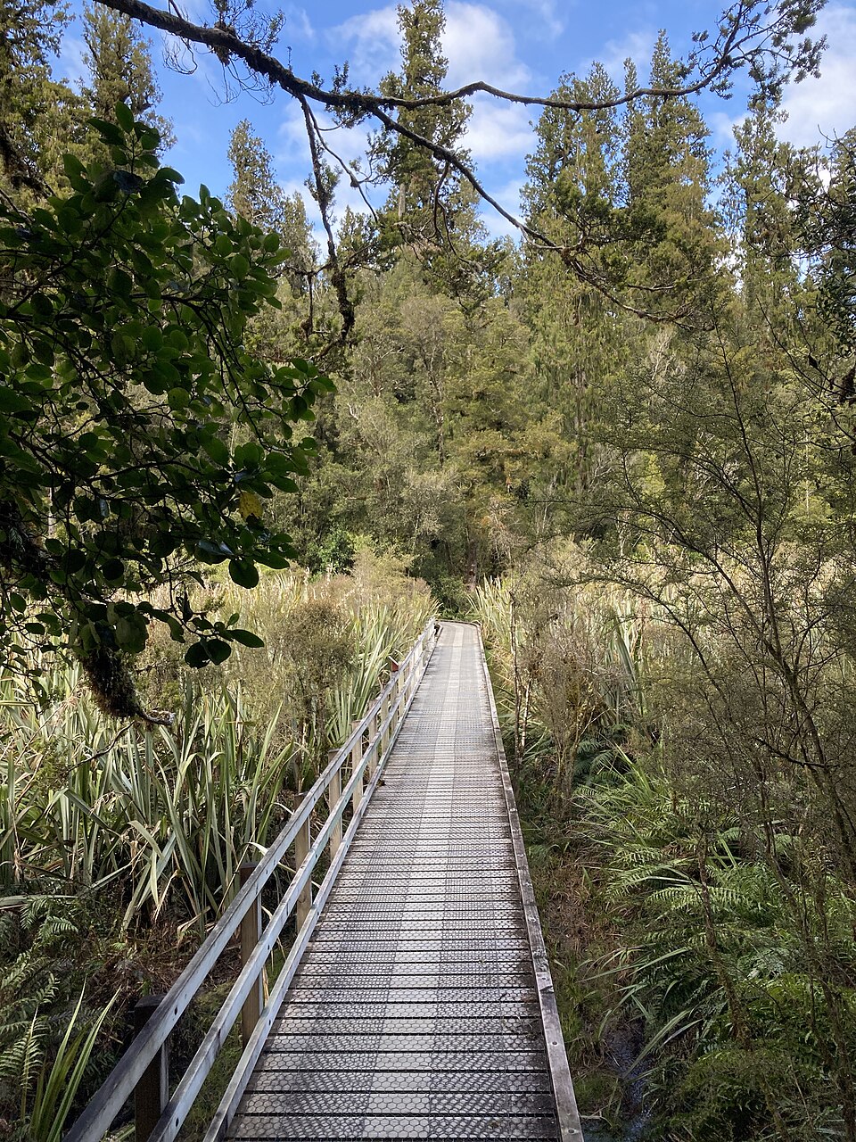 매서슨 호수·테 아라 카이라우마티 (Lake Matheson / Te Ara Kairaumati) 여행 추천 - 로드트립
