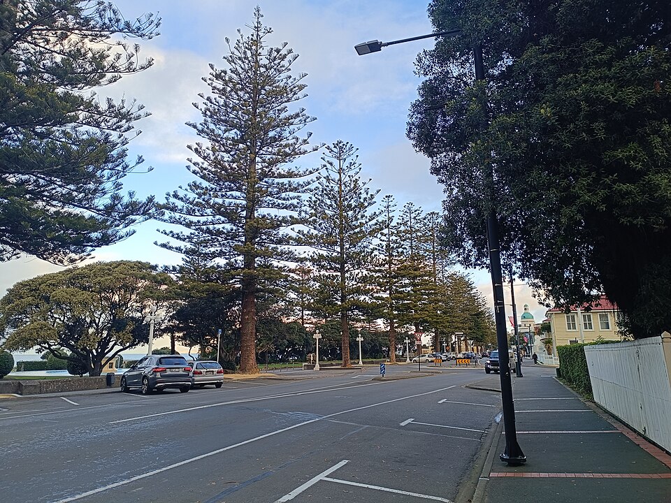 네이피어 마린 퍼레이드 해안 산책로 (Marine Parade Foreshore Reserve) 여행 추천 - 로드트립