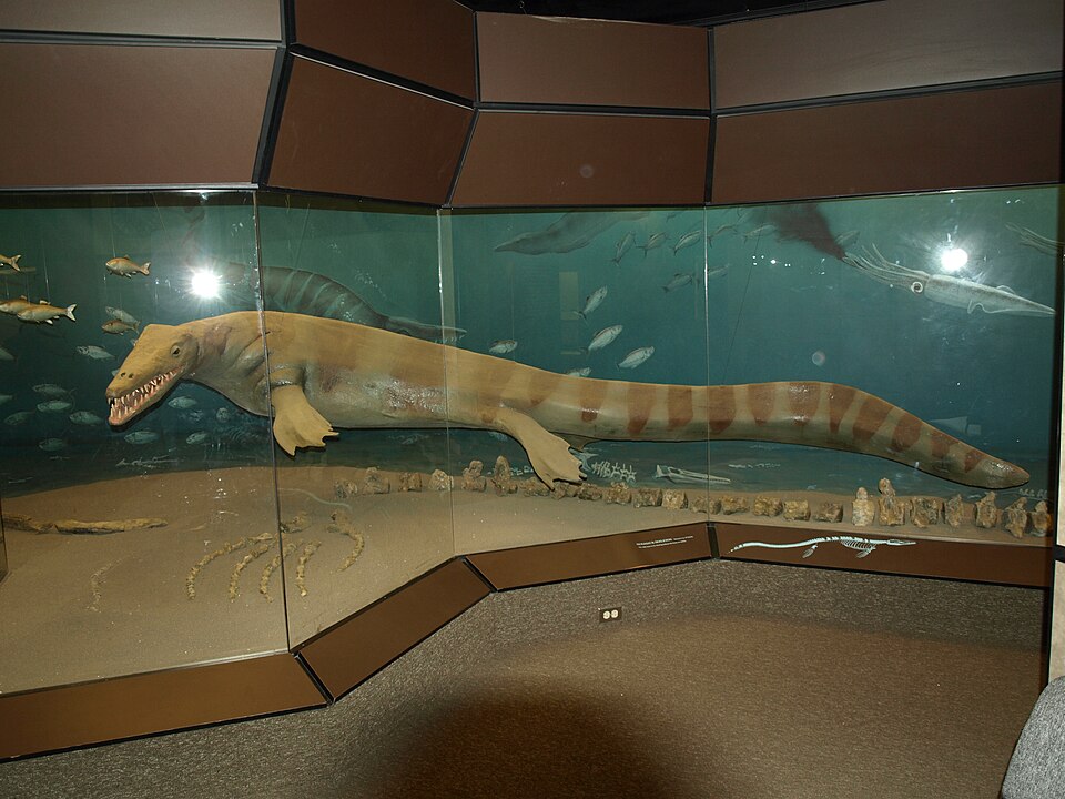 캐나다 화석발견센터 (Canadian Fossil Discovery Centre) 여행 추천 - 로드트립