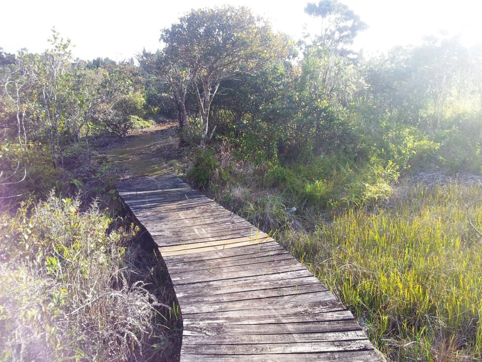 몽베르 자연 산책로 (Monvert Nature Walk) 여행 추천 - 로드트립