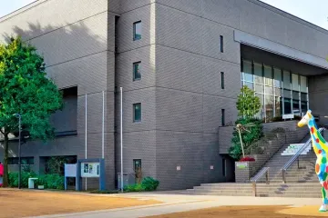 다가라 매화나무 숲 공원 여행 추천 - 메고지고