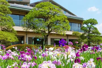 게이세이 전철 요쓰기역 여행 추천 - 메고지고