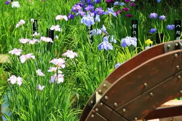 아다치구 생물원 여행 추천 - 메고지고
