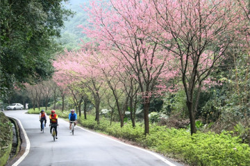사쿠라기 하나미치 여행 추천 - 메고지고
