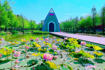 국갱그린터널역 여행 추천 - 메고지고