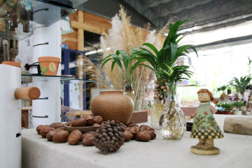 붉은개미 생태세계 여행 추천 - 메고지고
