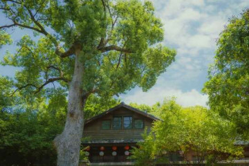 베이터우 중앙 신촌 여행 추천 - 메고지고