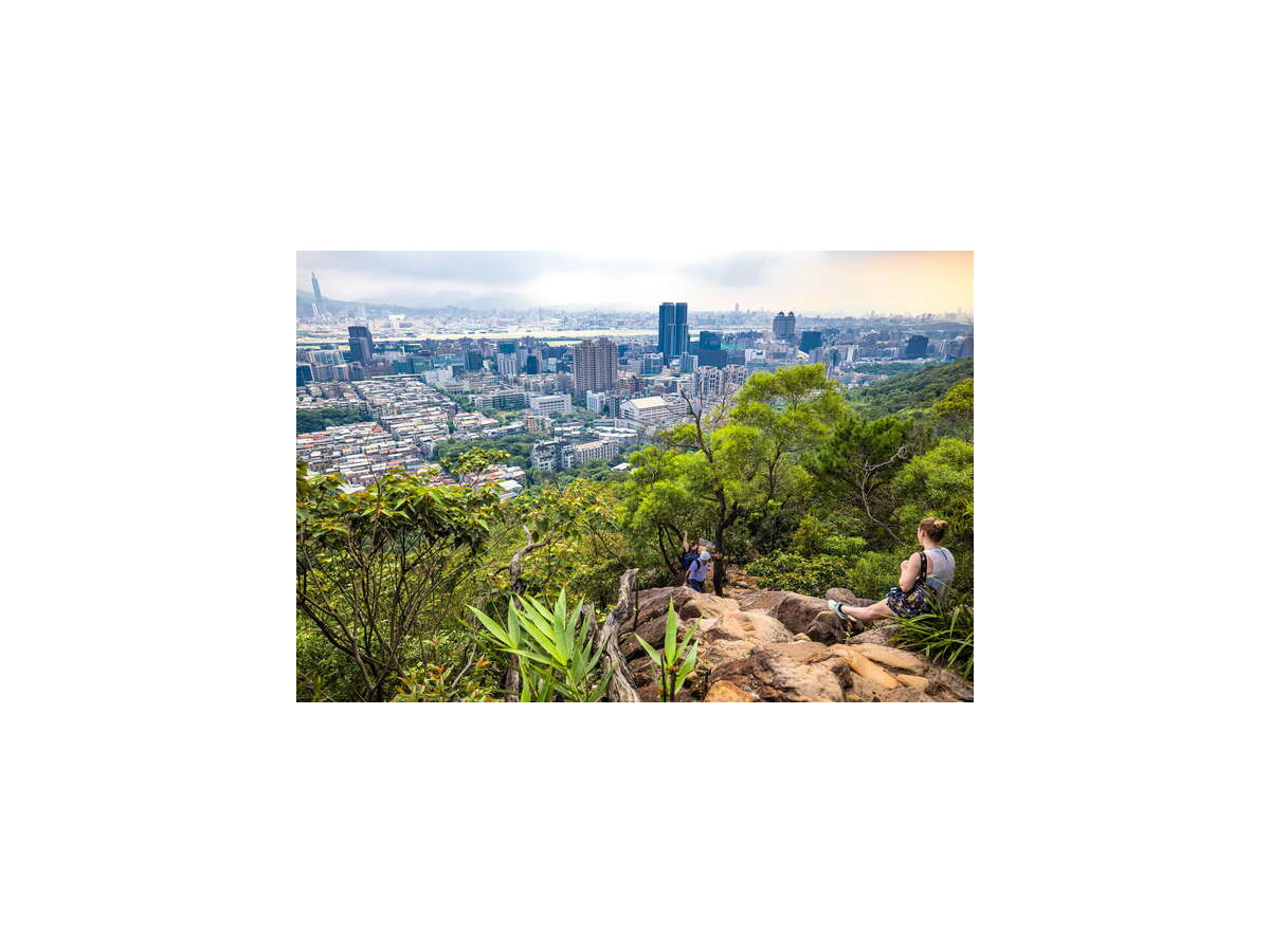 오지산계_금면산 등산로