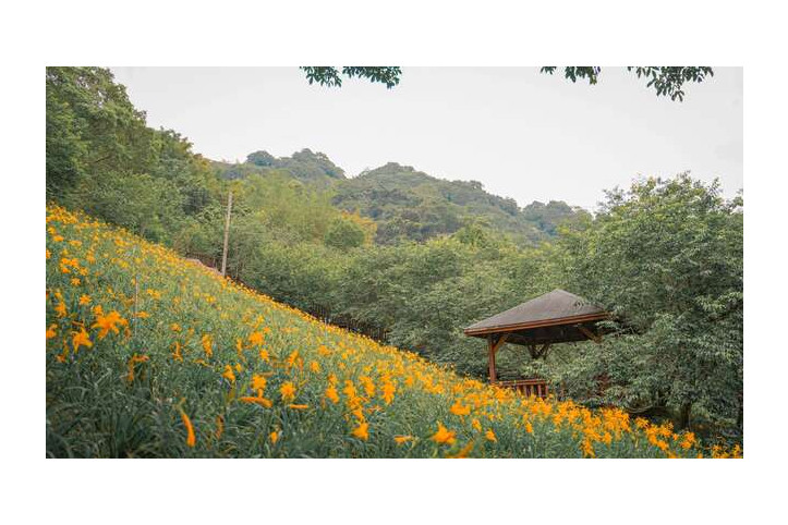 묵신취안 레저 농장 여행 추천 - 메고지고