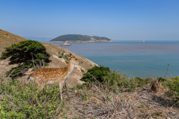 차오쯔 정착지 여행 추천 - 메고지고
