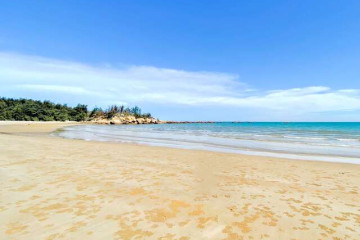 피크 검사 부서 여행 추천 - 메고지고