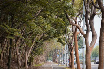 종커헝산 공원 여행 추천 - 메고지고