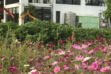 고속철도 장화역 여행 추천 - 메고지고