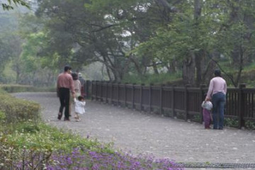 차 시음 및 건강 공원 여행 추천 - 메고지고