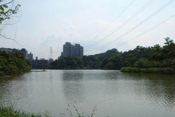 네이구시 생태전시관 여행 추천 - 메고지고