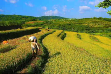 헝산 테라스 여행 추천 - 메고지고