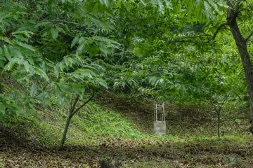 청천사 여행 추천 - 메고지고
