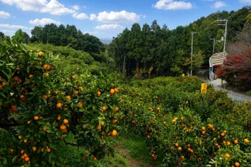 천연 온천 도미타 린 다케야마 온천 2호천 여행 추천 - 메고지고