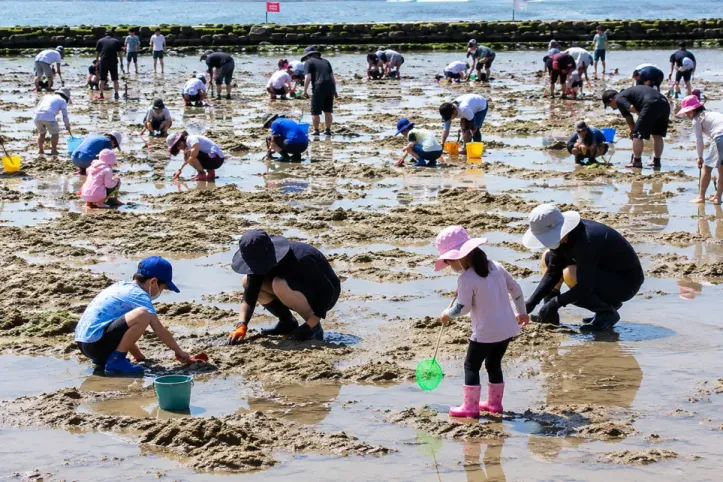 2색 해변 조간 사냥터 여행 추천 - 메고지고